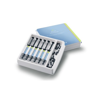 ELS Paintart KIT Saremco