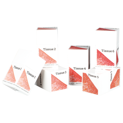 Ceramic Tissue Set 6x20gr