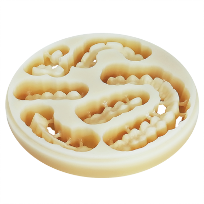 Polident Multilayer