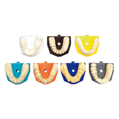 Zeiser - Grote witte...