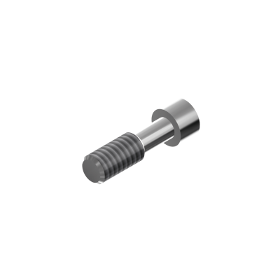 6.5 'longue' Screw for...