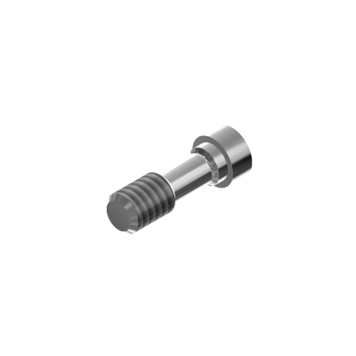 RP Screw for zircon base...
