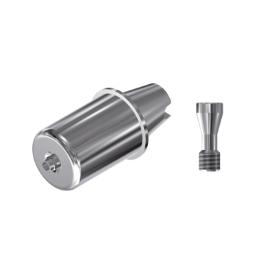 4.8 D14 Raw-Abutment...