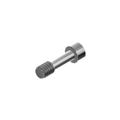 RP K80 Screw pour Ti base