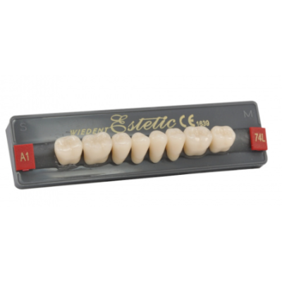 Wiedent Esthetic Maaltanden