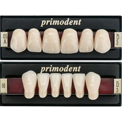 Primodent Anterior